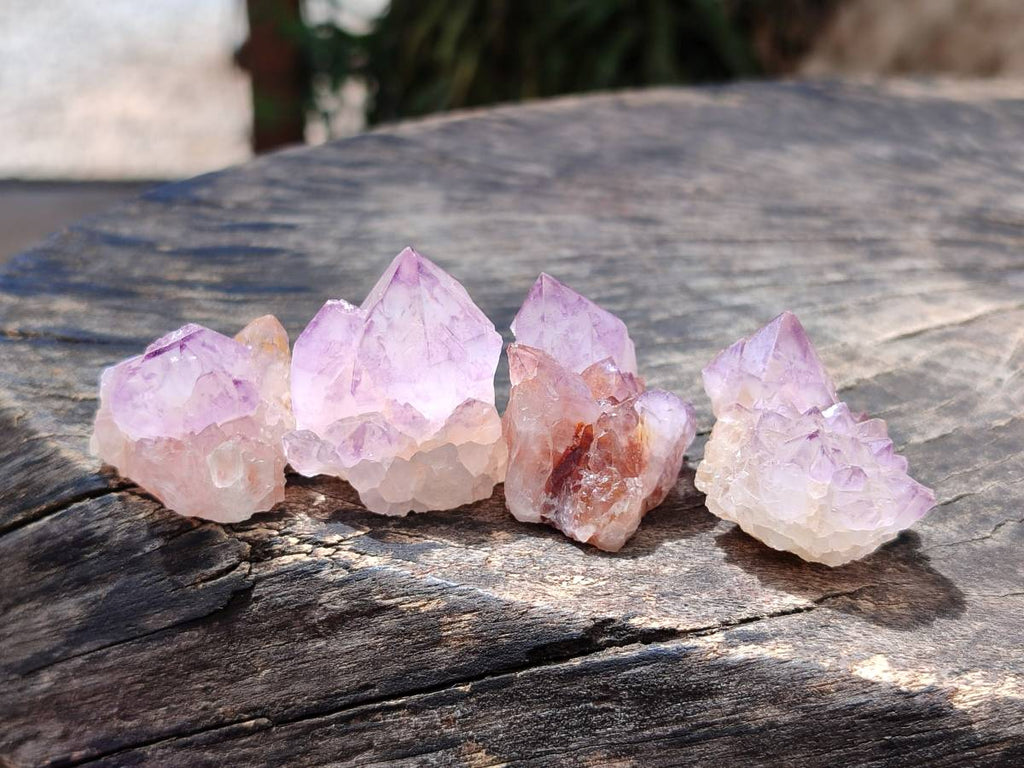 Natural Small Sunburst Cactus Flower Amethyst Spirit Clusters x 35 From South Africa - Toprock Gemstones and Minerals 
