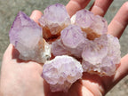 Natural Small Sunburst Cactus Flower Amethyst Spirit Clusters x 35 From South Africa - Toprock Gemstones and Minerals 