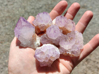 Natural Small Sunburst Cactus Flower Amethyst Spirit Clusters x 35 From South Africa