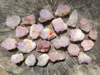 Natural Small Sunburst Cactus Flower Amethyst Spirit Clusters x 35 From South Africa - Toprock Gemstones and Minerals 
