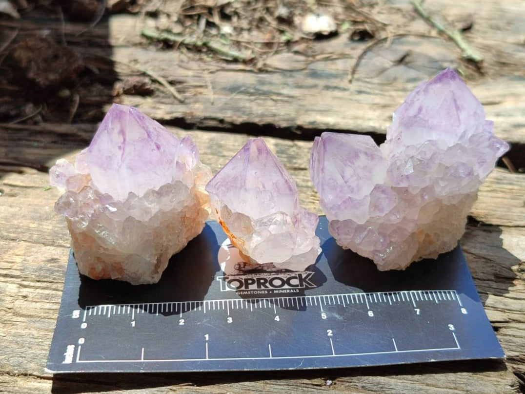 Natural Small Sunburst Cactus Flower Amethyst Spirit Clusters x 35 From South Africa - Toprock Gemstones and Minerals 