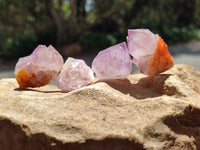 Natural Small Sunburst Cactus Flower Amethyst Spirit Clusters x 35 From South Africa