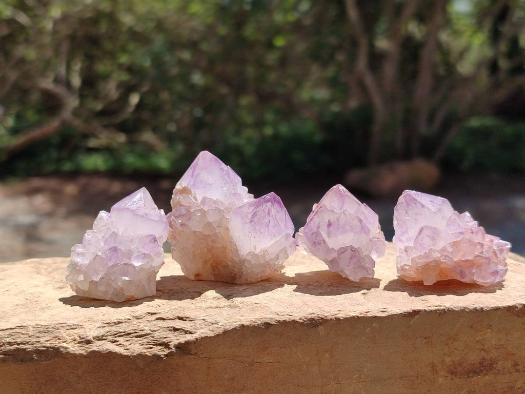 Natural Small Sunburst Cactus Flower Amethyst Spirit Clusters x 35 From South Africa - Toprock Gemstones and Minerals 