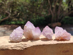Natural Small Sunburst Cactus Flower Amethyst Spirit Clusters x 35 From South Africa - Toprock Gemstones and Minerals 
