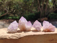 Natural Small Sunburst Cactus Flower Amethyst Spirit Clusters x 35 From South Africa