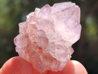 Natural Small Sunburst Cactus Flower Amethyst Spirit Clusters x 35 From South Africa