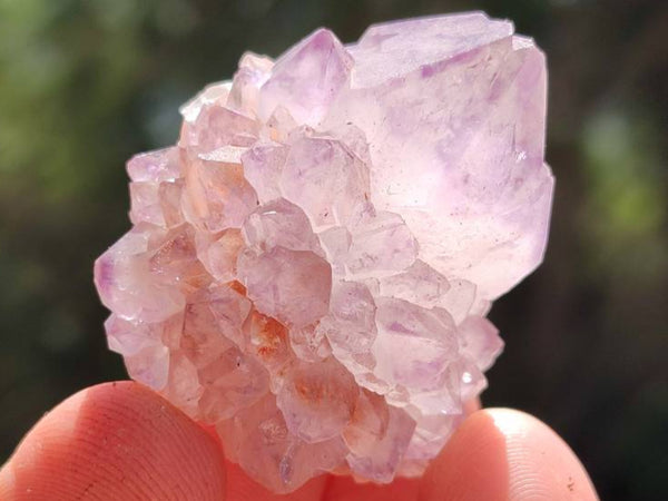 Natural Small Sunburst Cactus Flower Amethyst Spirit Clusters x 35 From South Africa