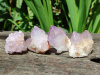 Natural Small Sunburst Cactus Flower Amethyst Spirit Clusters x 35 From South Africa
