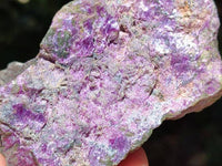 Natural Stichtite Cobbed Specimens x 7 From Barberton, South Africa