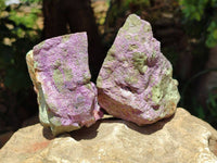 Natural Stichtite Cobbed Specimens x 7 From Barberton, South Africa