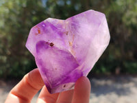 Polished Window Amethyst Crystals x 6 From Akansobe, Madagascar