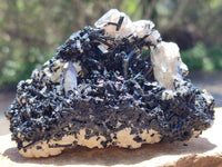 Natural Schorl Black Tourmaline with Vermiculite x 6 From Erongo, Namibia