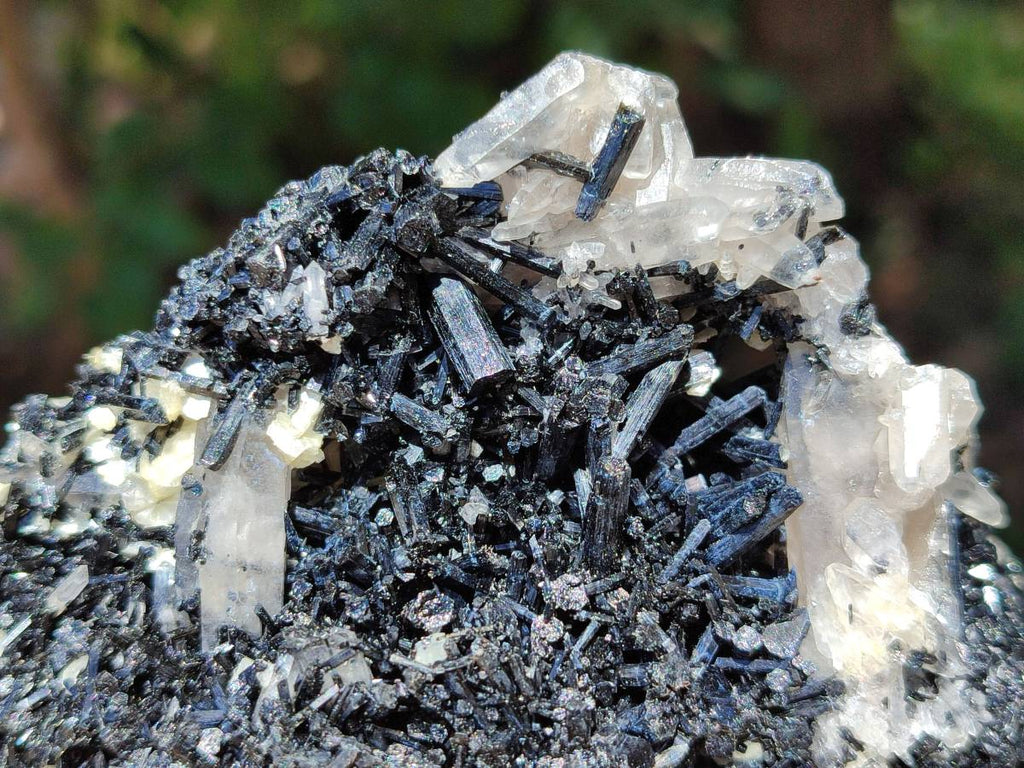 Natural Schorl Black Tourmaline with Vermiculite x 6 From Erongo, Namibia - Toprock Gemstones and Minerals 