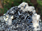 Natural Schorl Black Tourmaline with Vermiculite x 6 From Erongo, Namibia - Toprock Gemstones and Minerals 
