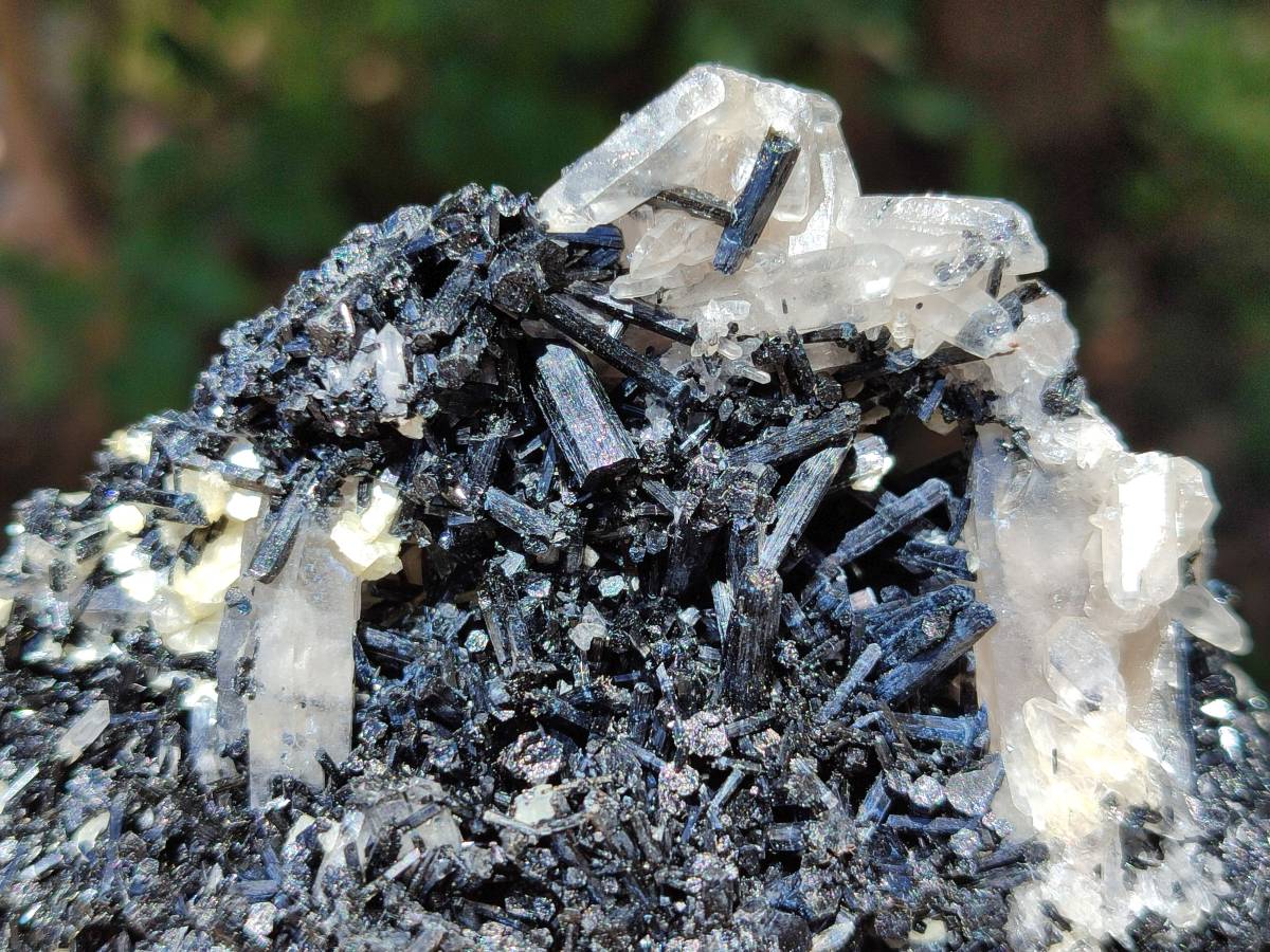 Natural Schorl Black Tourmaline with Vermiculite x 6 From Erongo, Namibia - Toprock Gemstones and Minerals 