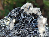 Natural Schorl Black Tourmaline with Vermiculite x 6 From Erongo, Namibia