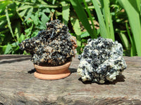 Natural Schorl Black Tourmaline with Vermiculite x 6 From Erongo, Namibia