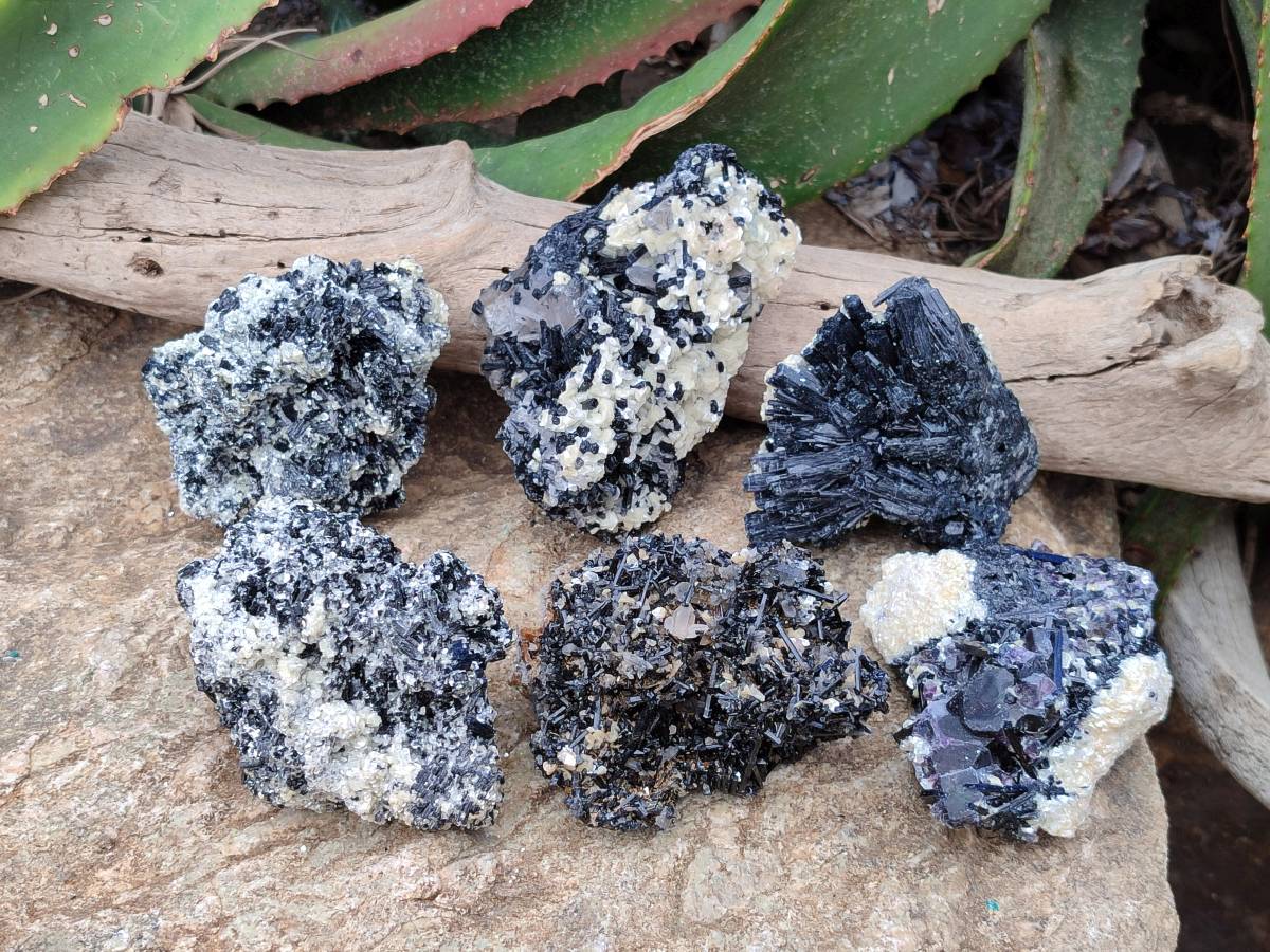 Natural Schorl Black Tourmaline with Vermiculite x 6 From Erongo, Namibia - Toprock Gemstones and Minerals 