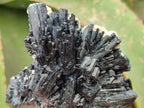 Natural Schorl Black Tourmaline with Vermiculite x 6 From Erongo, Namibia - Toprock Gemstones and Minerals 