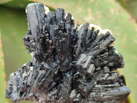 Natural Schorl Black Tourmaline with Vermiculite x 6 From Erongo, Namibia
