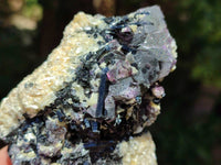 Natural Schorl Black Tourmaline with Vermiculite x 6 From Erongo, Namibia