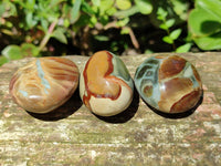 Polished Polychrome Jasper Palm Stones x 22 From NW Coast, Madagascar