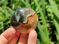 Polished Polychrome Jasper Palm Stones x 22 From NW Coast, Madagascar