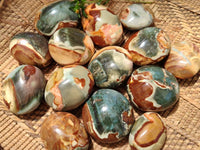 Polished Polychrome Jasper Palm Stones x 22 From NW Coast, Madagascar