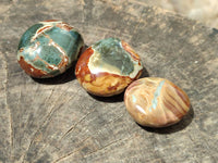 Polished Polychrome Jasper Palm Stones x 22 From NW Coast, Madagascar