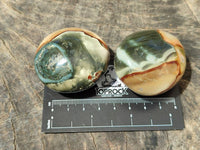 Polished Polychrome Jasper Palm Stones x 22 From NW Coast, Madagascar