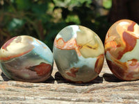 Polished Polychrome Jasper Palm Stones x 22 From NW Coast, Madagascar