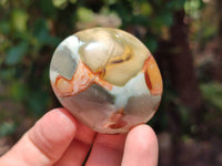 Polished Polychrome Jasper Palm Stones x 22 From NW Coast, Madagascar