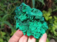 Natural Silky Malachite Specimens x 6 From Kasompe, Congo