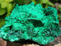 Natural Silky Malachite Specimens x 6 From Kasompe, Congo