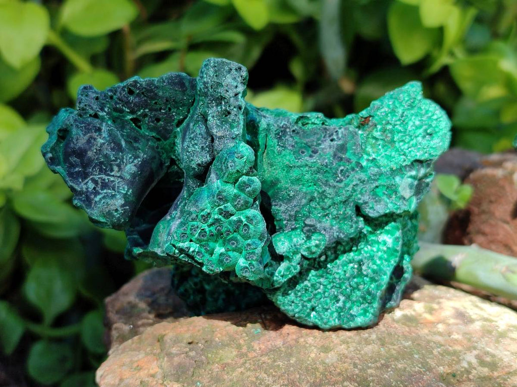 Natural Silky Malachite Specimens x 6 From Kasompe, Congo - Toprock Gemstones and Minerals 