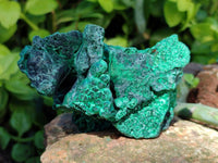 Natural Silky Malachite Specimens x 6 From Kasompe, Congo