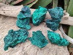 Natural Silky Malachite Specimens x 6 From Kasompe, Congo - Toprock Gemstones and Minerals 