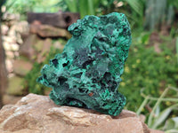 Natural Silky Malachite Specimens x 6 From Kasompe, Congo