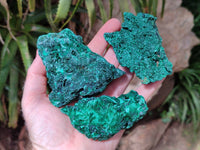 Natural Silky Malachite Specimens x 6 From Kasompe, Congo