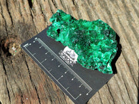 Natural Silky Malachite Specimens x 6 From Kasompe, Congo