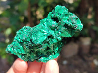 Natural Silky Malachite Specimens x 6 From Kasompe, Congo
