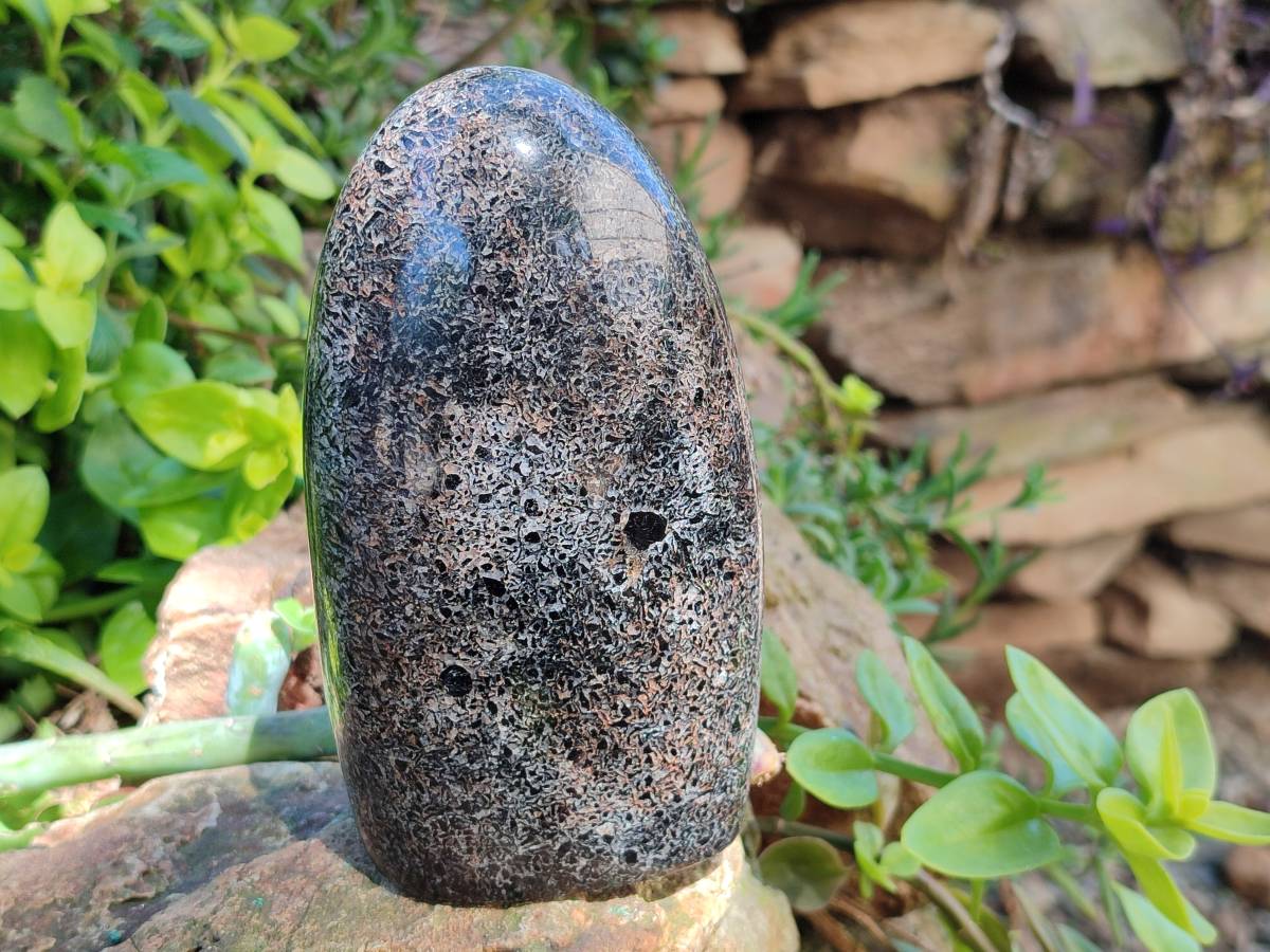 Polished Black Tourmaline In Matrix Standing Free Forms x 2 From Madagascar - Toprock Gemstones and Minerals 