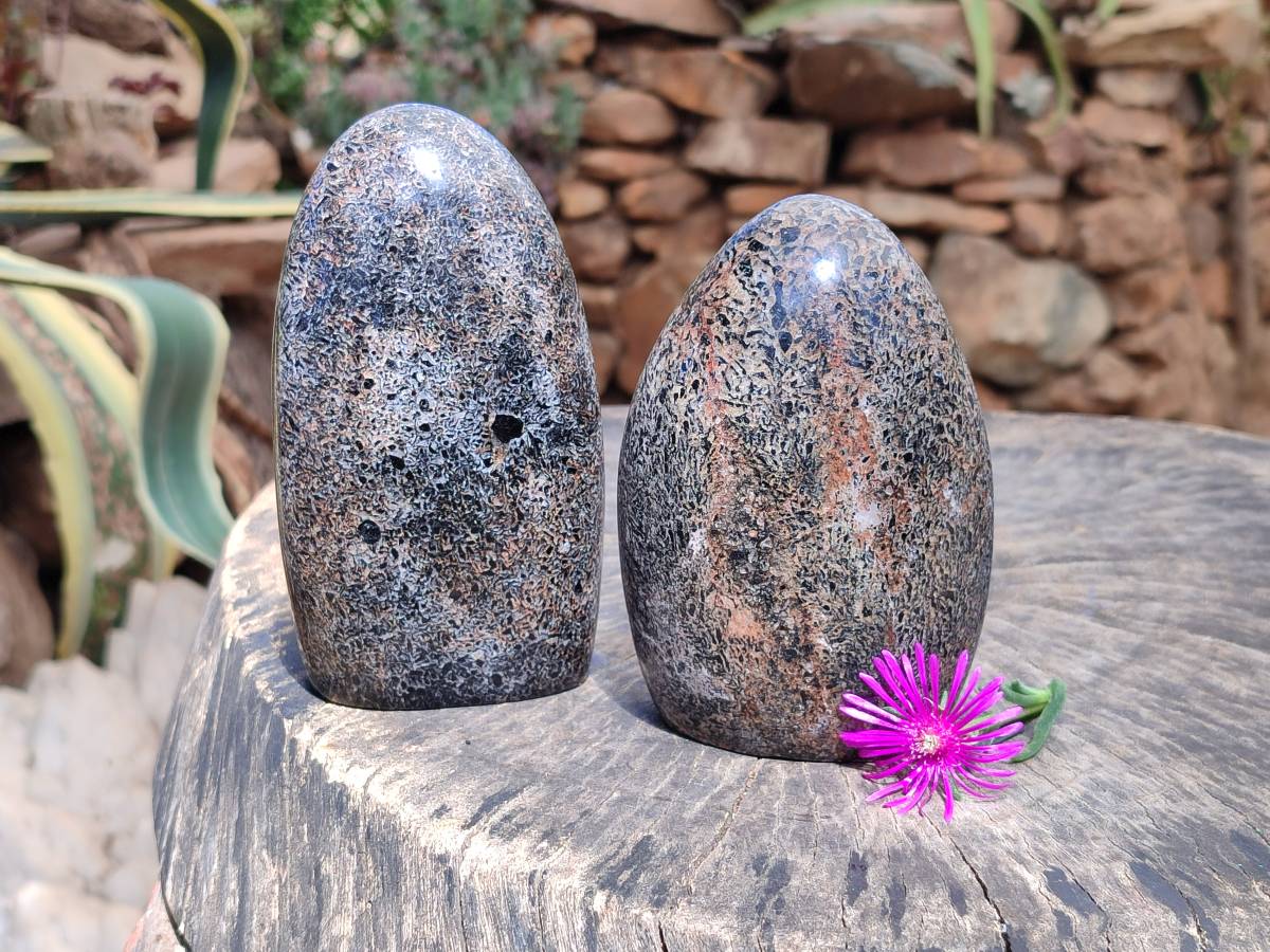 Polished Black Tourmaline In Matrix Standing Free Forms x 2 From Madagascar - Toprock Gemstones and Minerals 