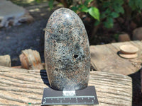 Polished Black Tourmaline In Matrix Standing Free Forms x 2 From Madagascar