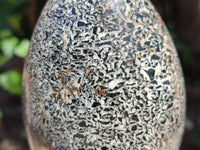 Polished Black Tourmaline In Matrix Standing Free Forms x 2 From Madagascar