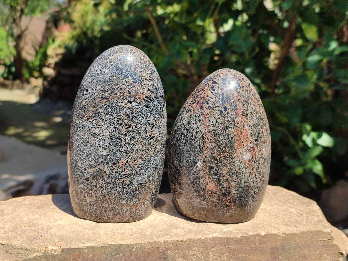 Polished Black Tourmaline In Matrix Standing Free Forms x 2 From Madagascar - Toprock Gemstones and Minerals 