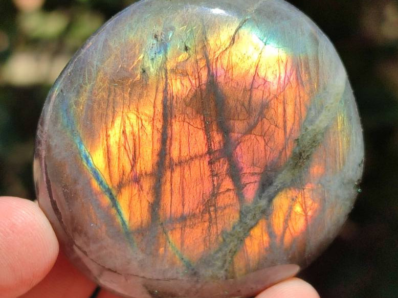 Polished Purple Flash Labradorite Galets x 12 From Tulear, Madagascar - Toprock Gemstones and Minerals 