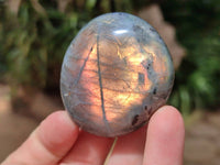 Polished Purple Flash Labradorite Galets x 12 From Tulear, Madagascar