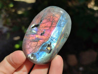 Polished Purple Flash Labradorite Galets x 12 From Tulear, Madagascar
