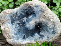 Natural XL Blue Celestite Geode Specimen x 1 From Sakoany, Madagascar